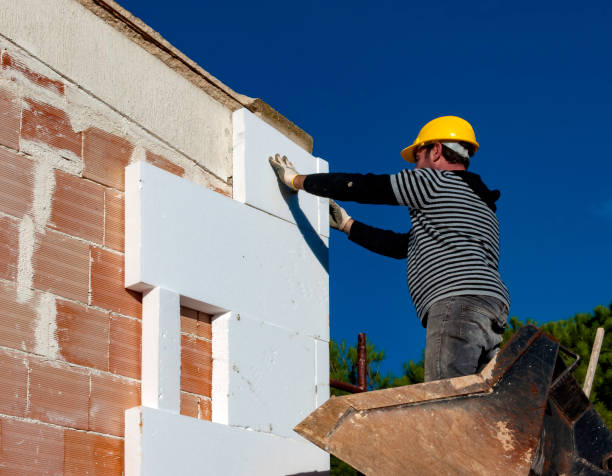 Best Residential Insulation in Greenville, FL