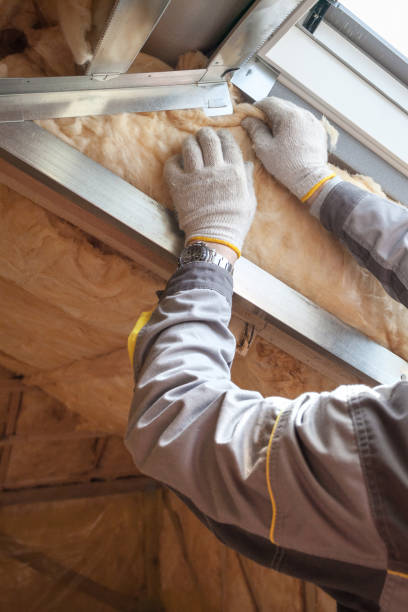 Best Insulation for Specific Applications in Greenville, FL