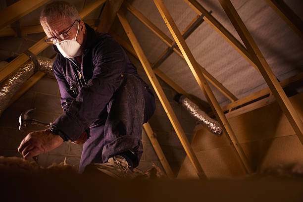 Best Commercial Insulation in Greenville, FL