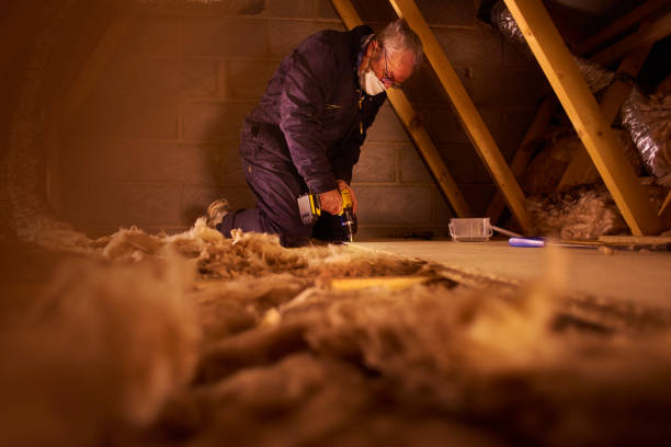 Best Insulation for Specific Applications in Greenville, FL